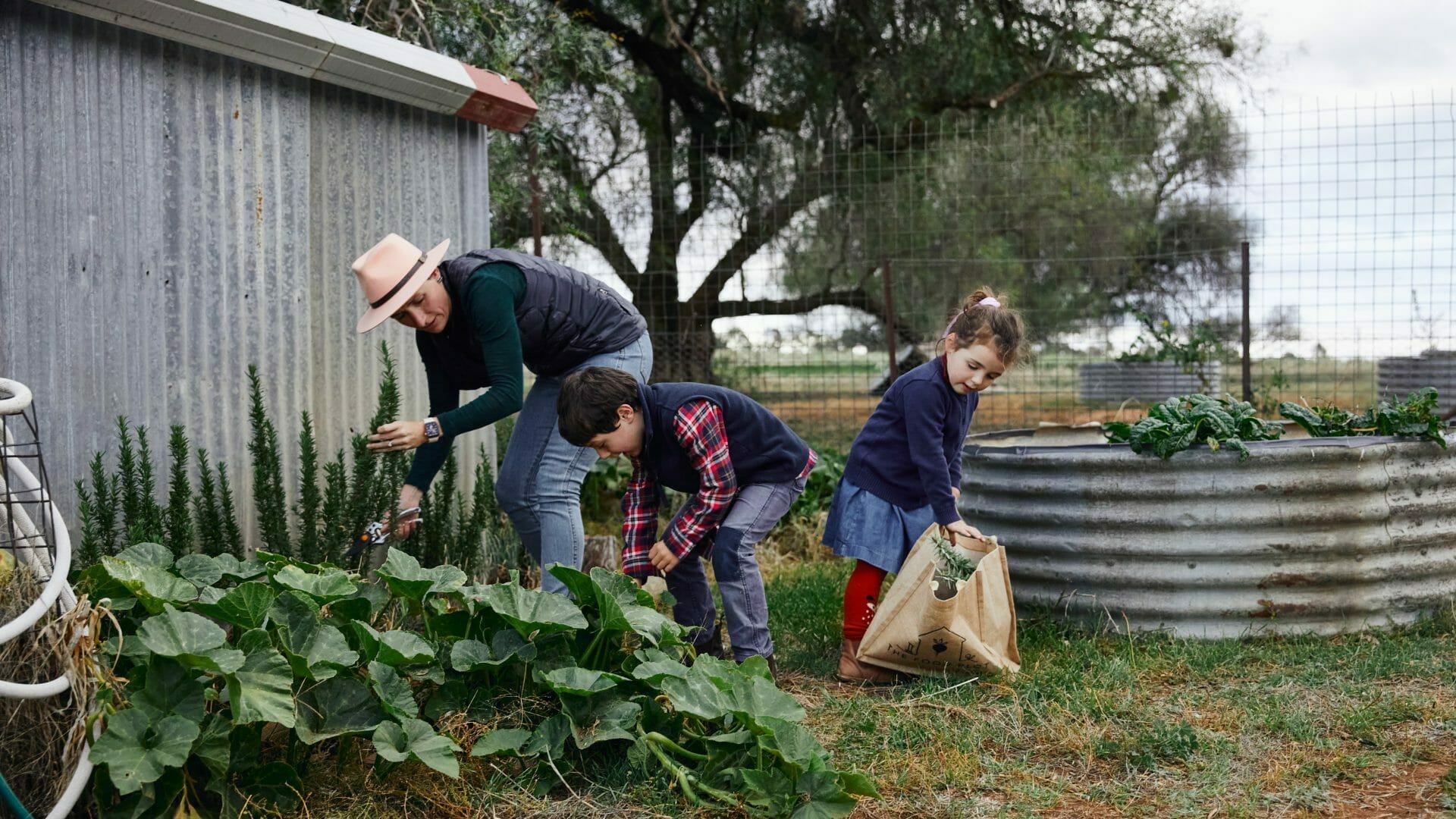 Herbs Grown With Heart, From Our Family Farm To Your Table